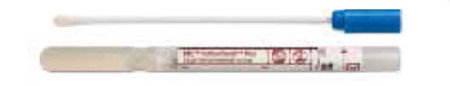 Specimen Collection and Transport Swab System BBL™ CultureSwab™ Plus Sterile by BD  ID 220116